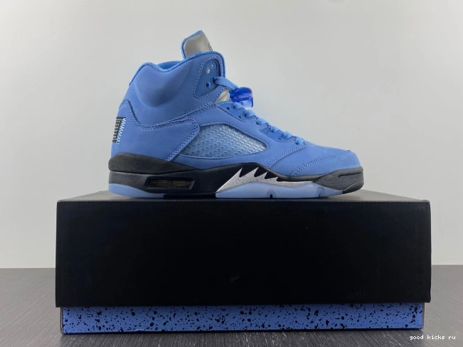 Jordan Air UNC 5 DV1310-401 0703